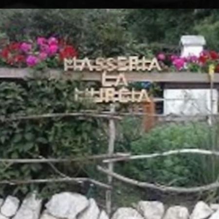 Wildcamp Resort Masseria La Murgia Unterkunft In Einem Wohnwagen Rimbach  Luaran gambar